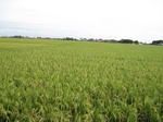 14297IMG_4637.JPG