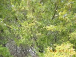 9495DSCN0942.JPG