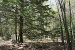 252IMG_4148.JPG
