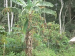 48796CIMG5133.JPG