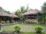 14778IMG_5170.JPG