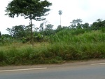 25677P1020094.JPG