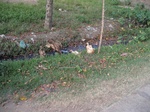 14400IMG_4742.JPG