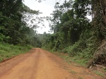 47607CIMG3944.JPG