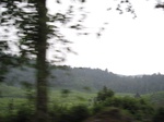 15042IMG_3855.JPG