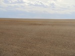 38469CIMG0311.JPG
