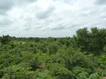 18782P1000620.JPG