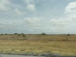 35929DSC02697.JPG
