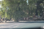 2024-08-05_14-21-48_920C43C2-7AE0-43C5-B939-FA9CCC440627.jpeg