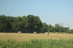 2024-06-17_21-12-32_4440BAAD-7974-4DA5-9D28-E2B0DE44A7D6.jpeg