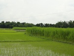 22011DSC00124.JPG