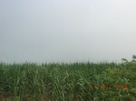 32764CIMG1896.JPG
