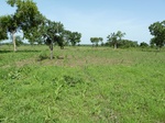 19508P1010355.JPG