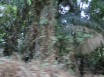 47315CIMG3652.JPG