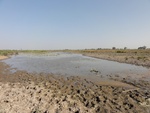 26587DSC00106.JPG