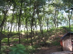 15421IMG_4286.JPG