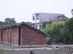 845R0015386_small.jpg