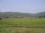28198RIMG0187.JPG