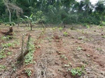 20129P1010980.JPG