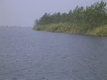 1415R0015157_small.jpg