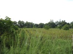15672IMG_4746.JPG