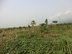 50434CIMG1063.JPG