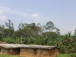 49722CIMG6059.JPG