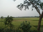 21908DSC08505.JPG