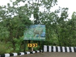 55834CIMG6513.JPG