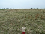 29285WOOD20110510S.JPG