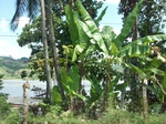 5735100_1318.JPG