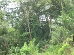49470CIMG5807.JPG