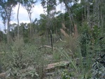 43406R0012573.JPG
