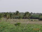 52218Tank ID 1800107 Thimmammanahalli 2.JPG