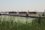 2024-08-05_14-12-01_055F82B0-DB31-4390-AE38-8792FC154291.jpeg