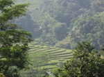 15411IMG_4266.JPG