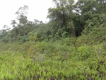 50274DSC02076.JPG