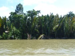 54650Bulungan (162).JPG