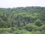 928R0015414.jpg