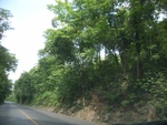 33460RIMG0200.JPG