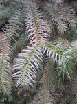 8489IMG_0314.JPG
