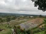 30783CIMG0629.JPG