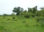 18609P1000446.JPG