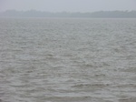45901CIMG3108.JPG