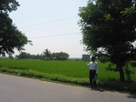 9895gt140b_intence_ricecrop_under_krishna_barriage.gif