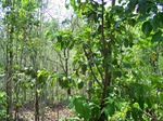 17439100_2127.JPG