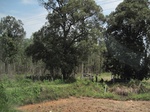 34435IMG_5418.JPG