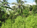 15970IMG_4522.JPG