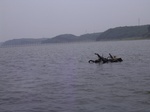 748R0015256.jpg