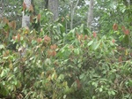 48284CIMG4621.JPG